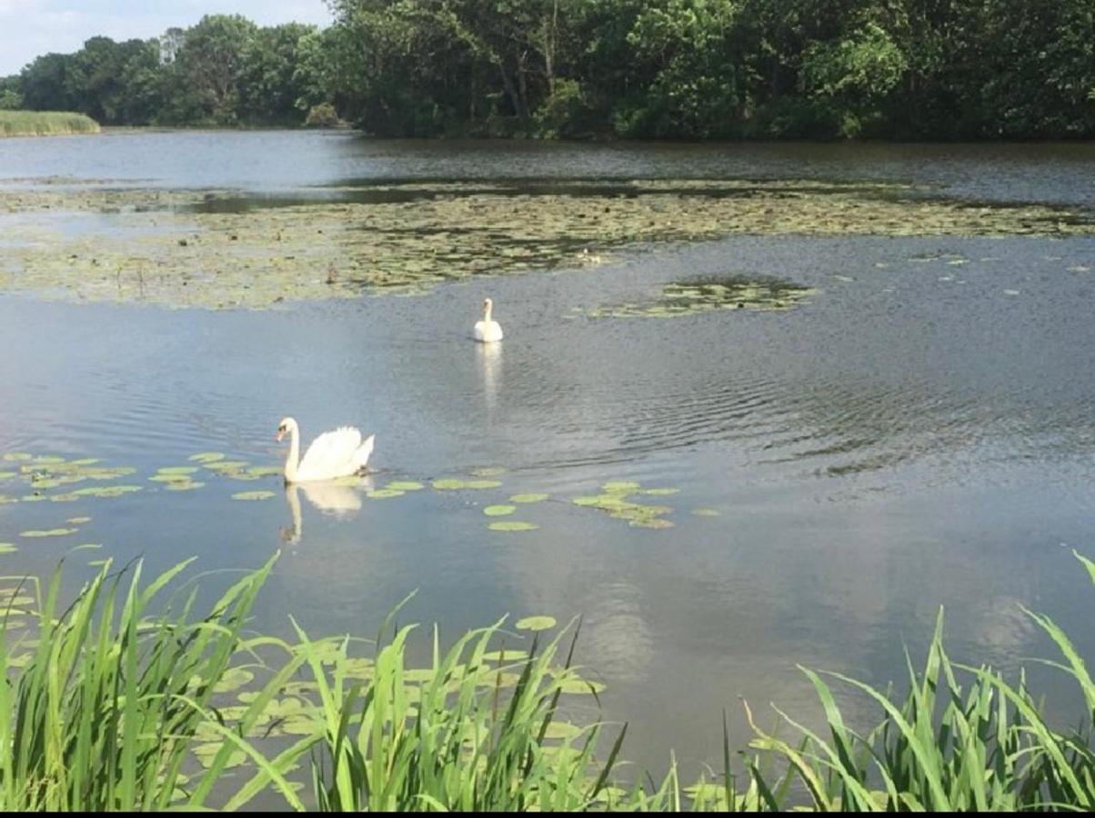 Pokoje Kama Villa ซาตอร์ ภายนอก รูปภาพ